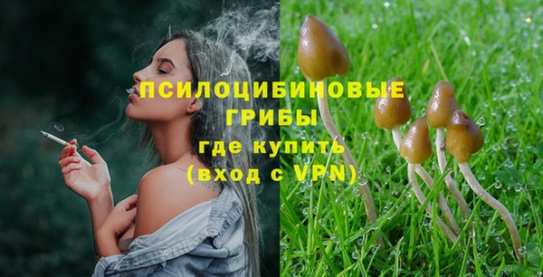 таблы Осташков