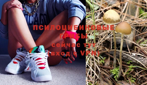 таблы Осташков